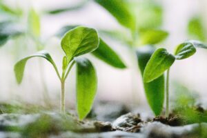 Earth Day 2025: A Global Call to Action